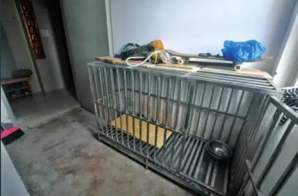 The stairway of Yiben's citizens stinks