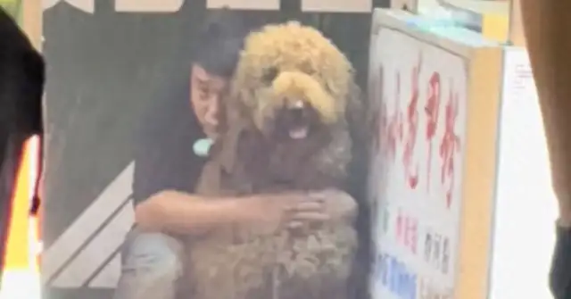It's raining behind the dog. Dog: Are you sure? You take a bath for 10 minutes. I'm at least 200