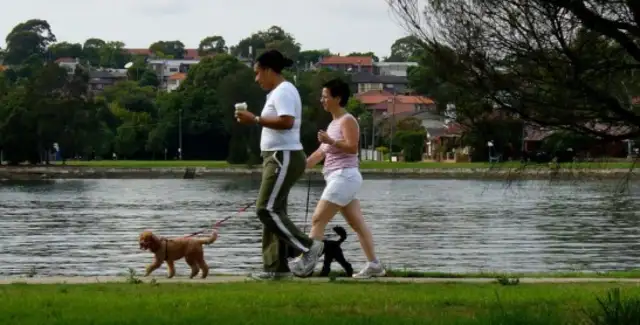 A dog bites tens of millions? Female employees verbally abused passersby over a dog dispute