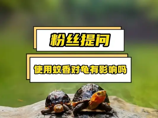 Does mosquitoes and pesticides affect turtles? Let's get this over with