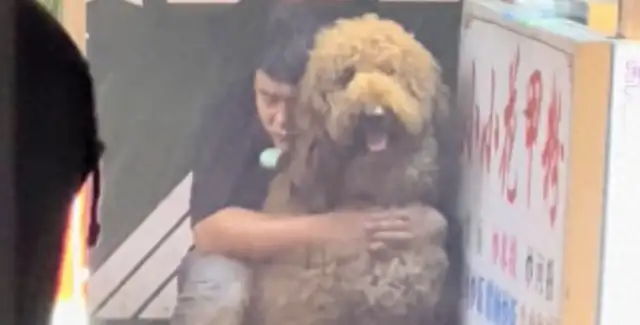 It's raining behind the dog. Dog: Are you sure? You take a bath for 10 minutes. I'm at least 200