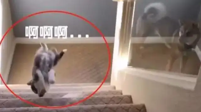 Little Hasty, get down the stairs and your mother will see you in a cold face