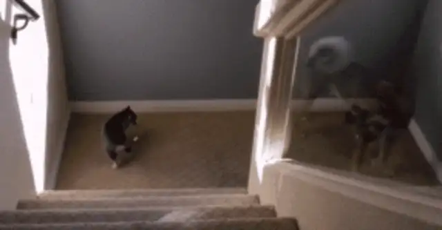 Little Hasty, get down the stairs and your mother will see you in a cold face