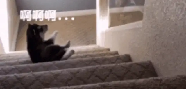 Little Hasty, get down the stairs and your mother will see you in a cold face