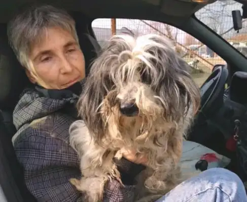 Strange old lady, chaining his grandfather's dog to a tree, indifferent for two years