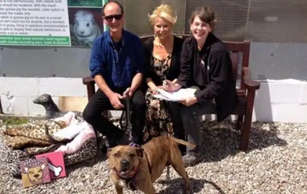 Six years of waiting, the loneliest dog in England was adopted