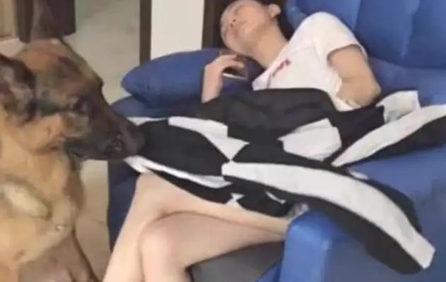 Dogs do things like this while they're pretty. Boyfriends look like shit. Netter: That's sweet