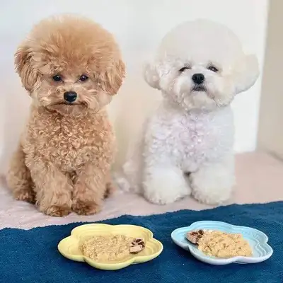 A lot of sick dogs' pet stores, the mayor's hotline #8211; the citizens who buy pet dogs, pay attention, there are pet shops that sell sick dogs