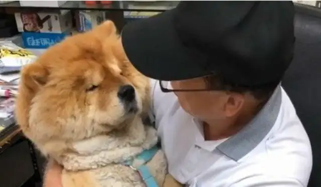 Nine-year-old pine lions are blessed by their illness, and their father loves them