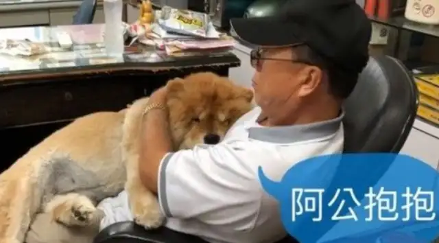 Nine-year-old pine lions are blessed by their illness, and their father loves them