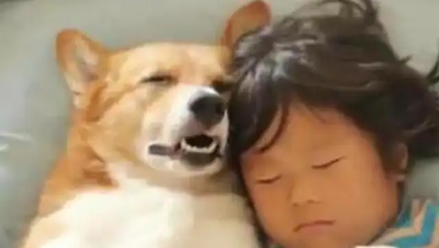 I bought some food downstairs, I went home to see the dog's sleeping pose, and it's really hard to eat