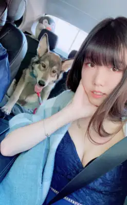 What if the master asks the dog at home? The netizens watched the piss: it was not a dog