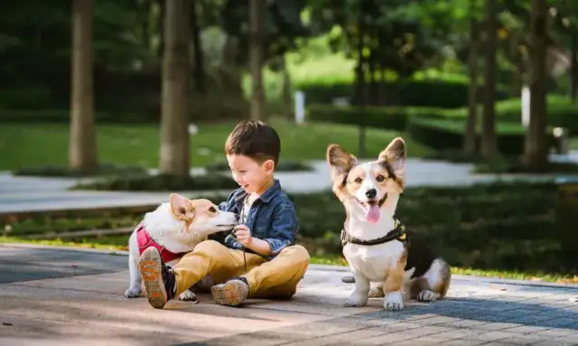 The poor dog was left in the box at the school door, and there were notes explaining the reason