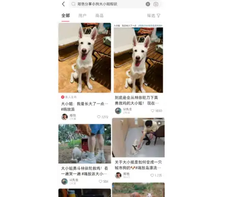 Zheng Jie shares the current situation of the Puppy Lady, which is far too different;