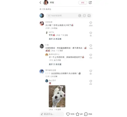 Zheng Jie shares the current situation of the Puppy Lady, which is far too different;