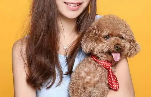 The seven types of dogs that don't lose hair, they're light, they're perfect for the family