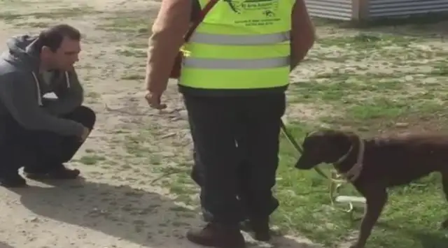 The dog was in the shelter. He never wanted to be adopted