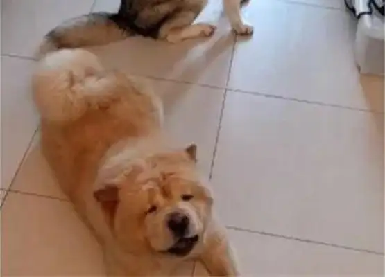 Dad's out of the house, he's in love with a man and a woman