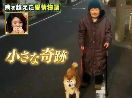 A 81-year-old grandma and a wooddog were demented and in a nursing home