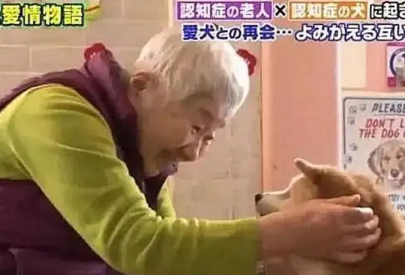 A 81-year-old grandma and a wooddog were demented and in a nursing home
