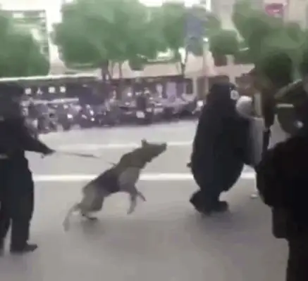The Red Bear was chased by a dog in the square. Women