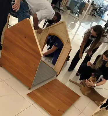 A STRAY DOG RAN INTO THE 4S, LEFT BEHIND AS A SECURITY GUARD AND BECAME A GOLD SALESMAN SIX MONTHS LATER