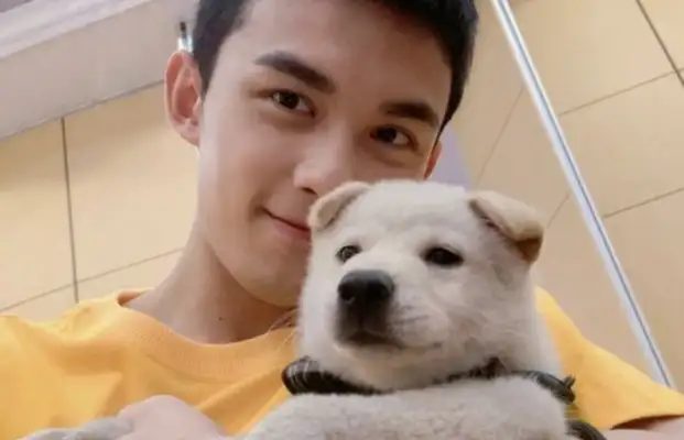 Zhao Liyong adopted a stray dog, Zhou Zhou Zhou Ziu Ziu Ziu Ziu Ziu, Li Bing Bing Zi