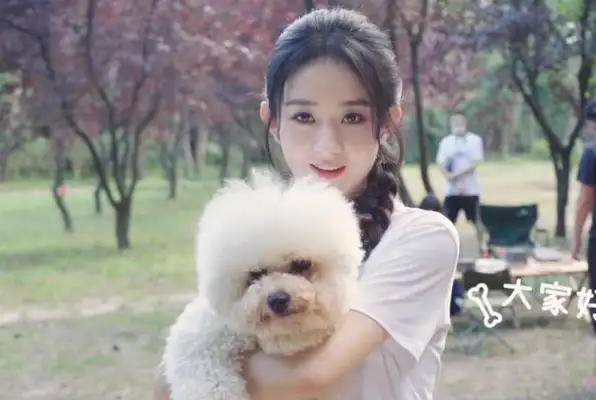 Zhao Liyong adopted a stray dog, Zhou Zhou Zhou Ziu Ziu Ziu Ziu Ziu, Li Bing Bing Zi