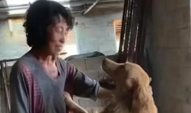 Old people spend 800,000 dollars to help stray dogs
