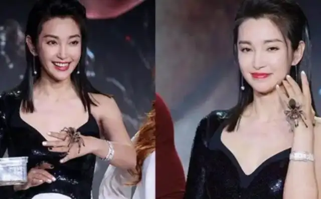 Zhao Liyong adopted a stray dog, Zhou Zhou Zhou Ziu Ziu Ziu Ziu Ziu, Li Bing Bing Zi