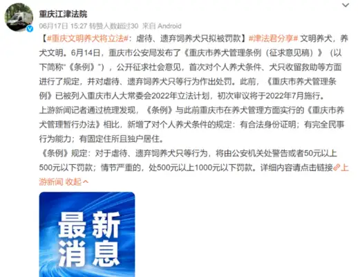 Quick spread! Chongqing is about to enact new regulations: No abuse, no abandonment of cats and dogs