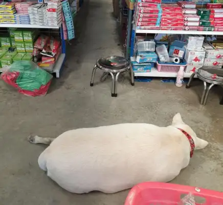 He went away for a month and went home to have another baby