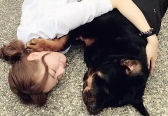 Beautiful girls are happy, boys are dead, dogs are perfect for the classic