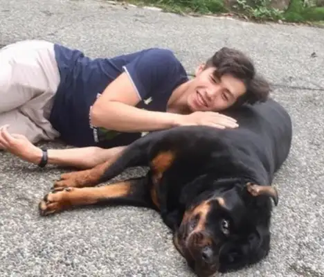 Beautiful girls are happy, boys are dead, dogs are perfect for the classic