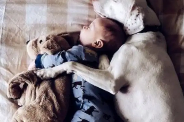 Let the baby and the dog stand alone in the house. It's too warm