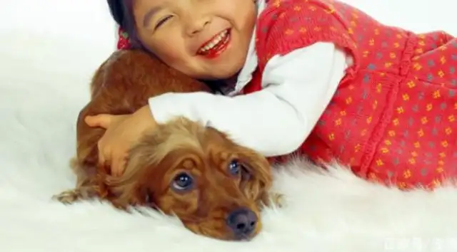 Dogs with little girls grow up not just on pillows or boards, but as close partners