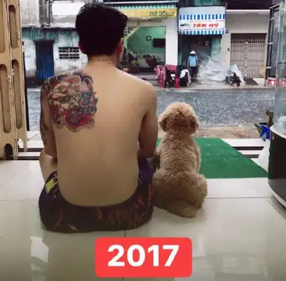 Squawk and the dog took a six-year photo; he's got a wide body