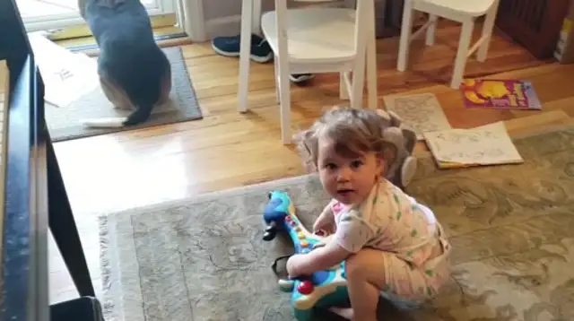 The genius dog and the little master are on the same stage