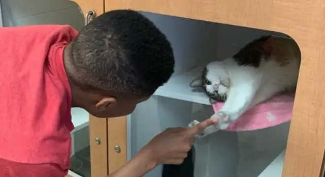 A 12-year-old boy who helped him get adopted