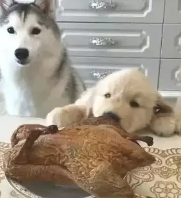 The master sent two-hundred-humber ducks, and the golden doggies came back to eat