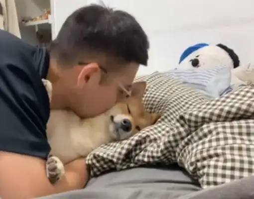 Facing the master's big kisses, the dog has no love in his face