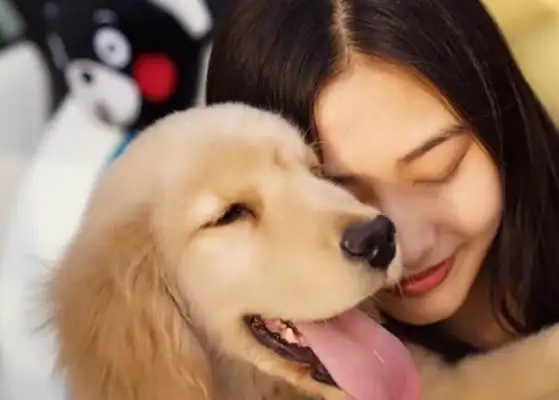 Even though the masters like to treat an alien dog as a pet, only a field dog knows how to appreciate and repay