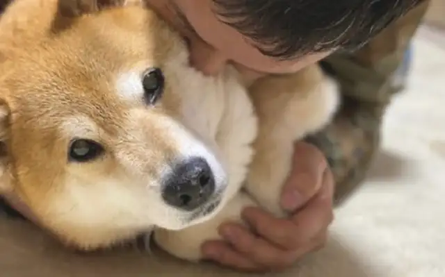 The master was lying down on the dog and sucking it. I didn't know it was having a little smile: you were playing together
