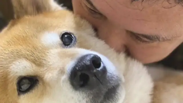 The master was lying down on the dog and sucking it. I didn't know it was having a little smile: you were playing together