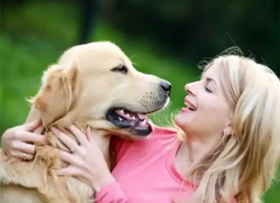 The dog was watching the pregnant lady in the bathroom for two consecutive weeks