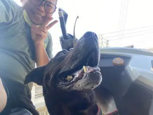 The netizens returned the message on the side of the road and were forced by the dog to take the van: I don't know you