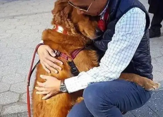 There's a bad thing called a golden dog, and when you see a thigh, you want to jump over it