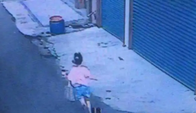A 12-year-old girl's been barked at 90 meters by a black dog. A girl's scared to death. The dog owner pays 1.8 million