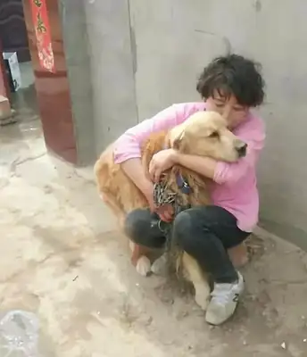 The dog was tied to the park's trough for three days