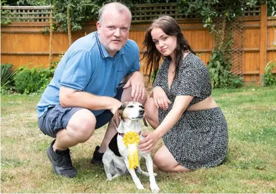 The dog lost his master, but he went to the dog show and got third